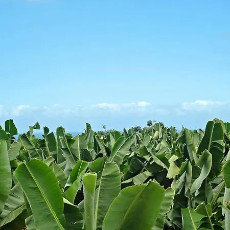 아파트 Puerto Hills