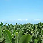 Puerto Hills Διαμέρισμα