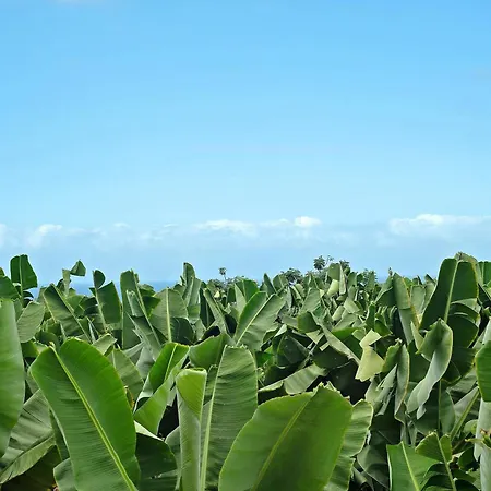 Puerto Hills 公寓