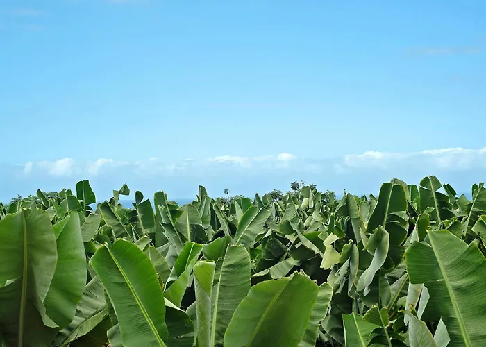 דירה Puerto Hills